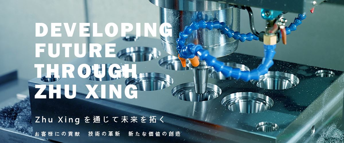 Developing future through Zhu Xing Industry Co., Ltd.