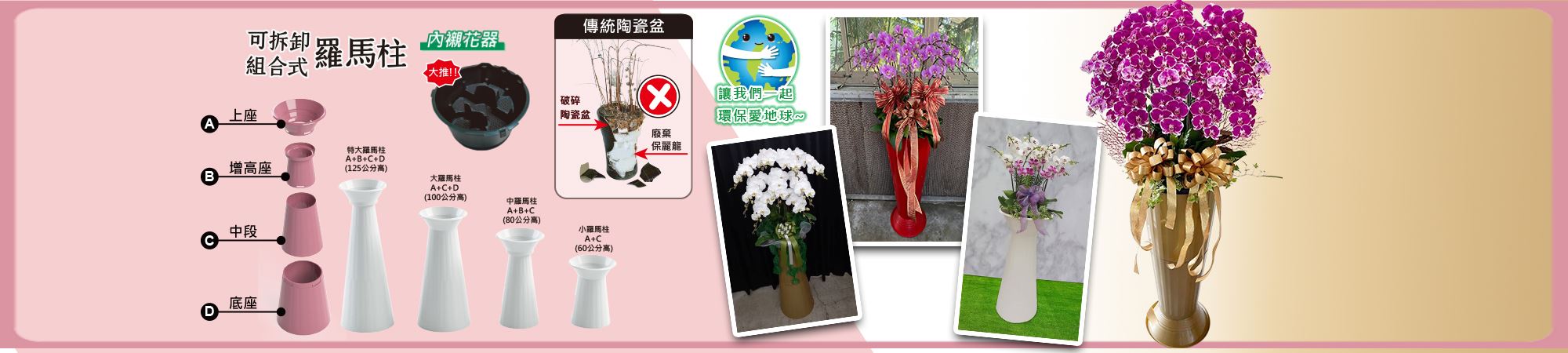 蝴蝶蘭羅馬柱-主興