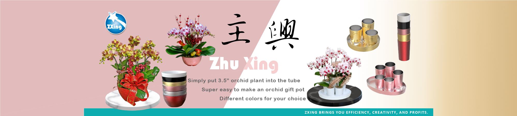 Developing future through Zhu Xing Industry Co., Ltd.