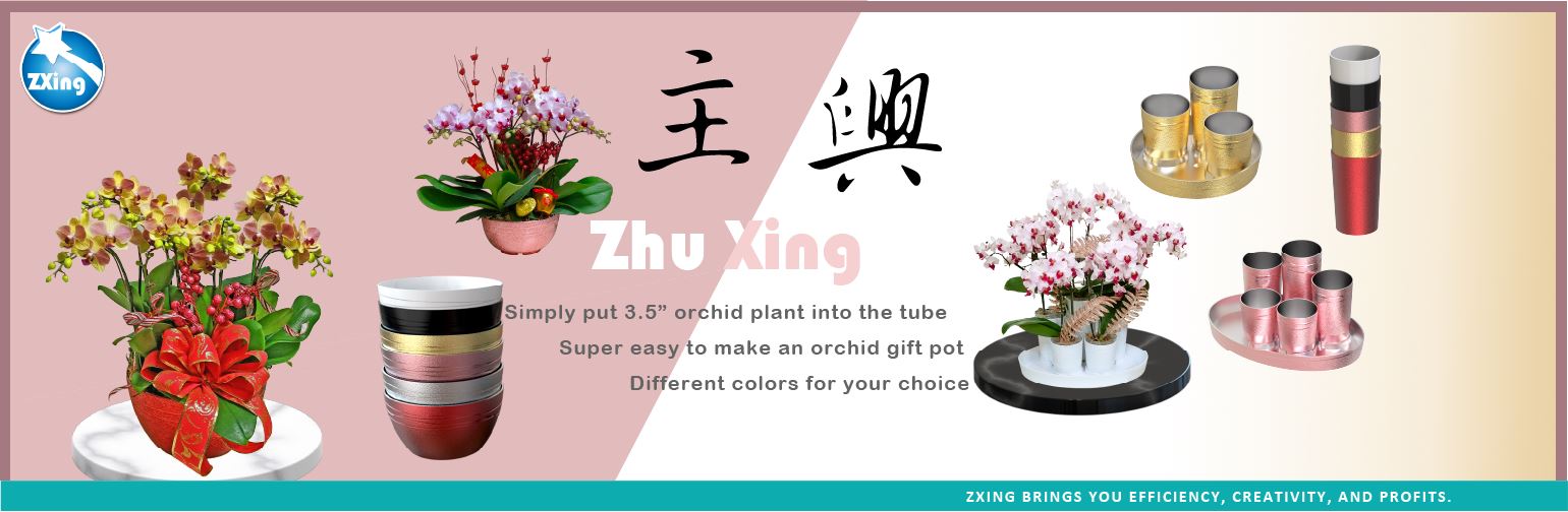 Developing future through Zhu Xing Industry Co., Ltd.
