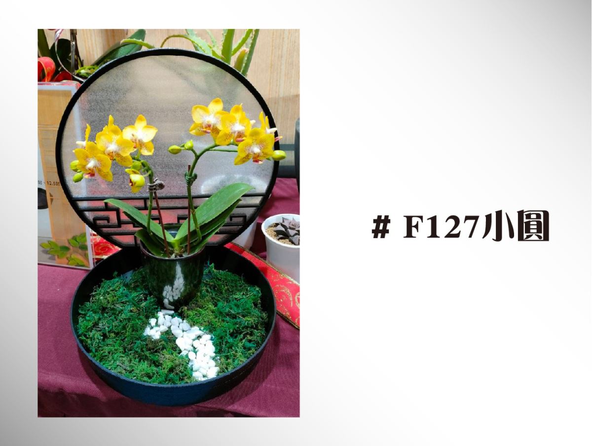 耐摔塑膠材質：採用高品質塑膠材質，耐用且不怕摔損。