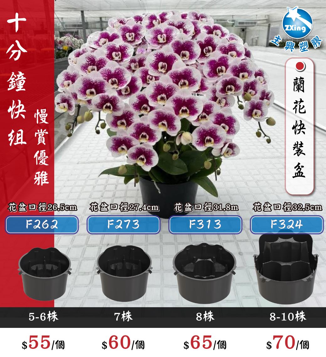 F313 快裝盆（口徑31.8cm，可組裝8株蘭花），專為花店與蘭花組裝廠設計，能在10分鐘內輕鬆完成組盆。使用時不需裁切保麗龍，搭配定位槽設計，可讓花梗穩固且層次分明。材質採用環保PP，兼顧實用與永續；在政府垃圾管制日益嚴格的情況下，花謝後客戶也能自行方便處理。此外，本系列另有其他四個尺寸可供選擇，滿足不同蘭花組盆的需求。