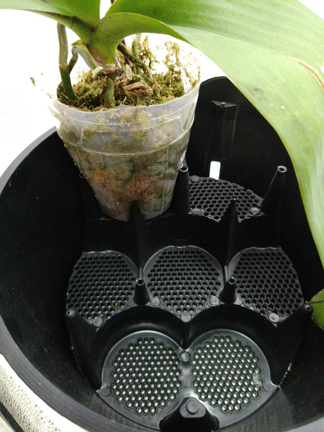 F273七株快速組裝盆內盆結構，可放置5到7株蘭花