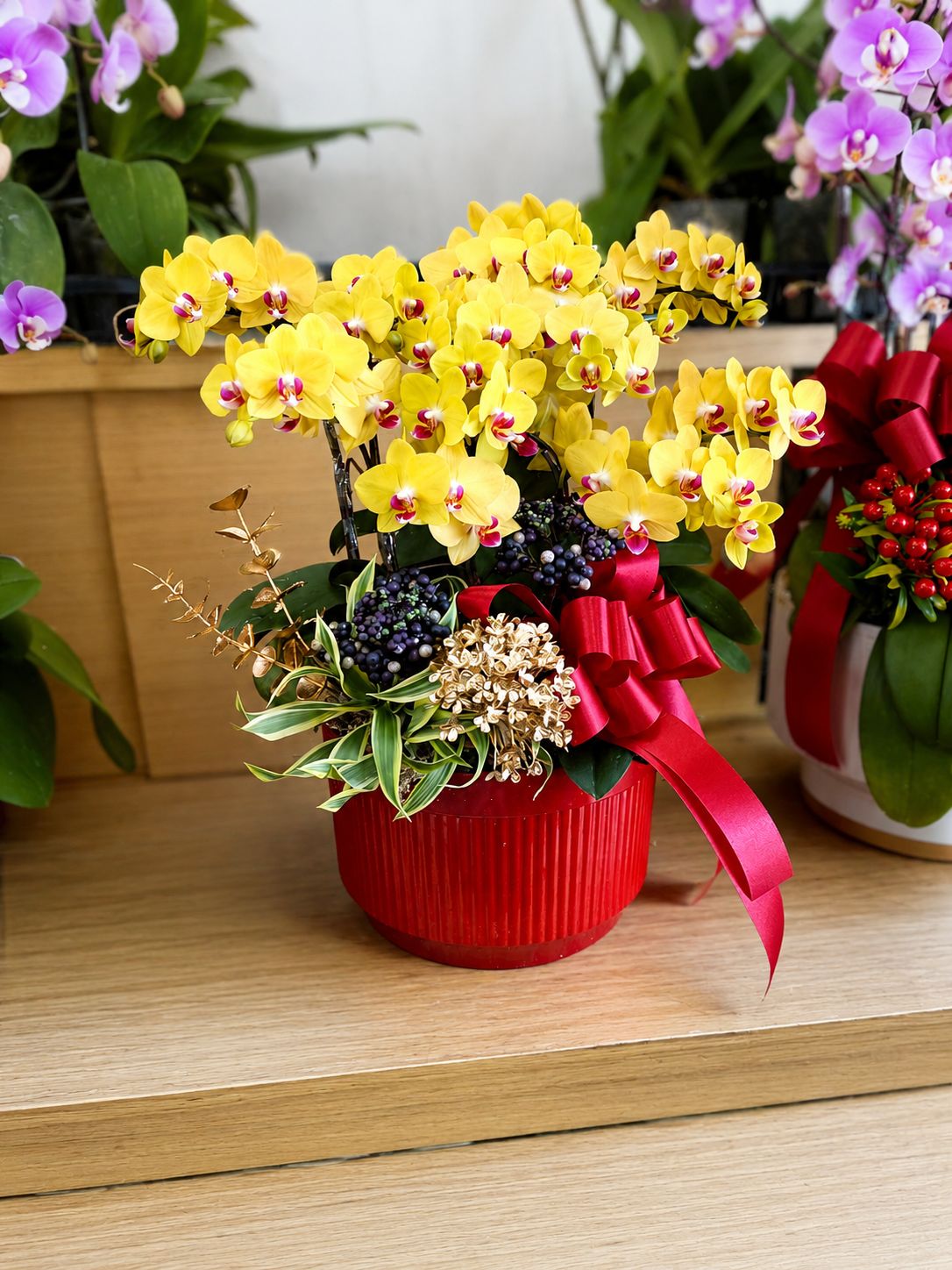 F221L 百摺五株蘭盆作品展示，黃色蝴蝶蘭搭配紅色花盆與緞帶，適合作為開幕祝賀蘭花禮品。