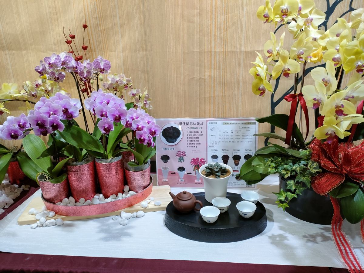 2023 台灣國際蘭展 Taiwan international orchid show
