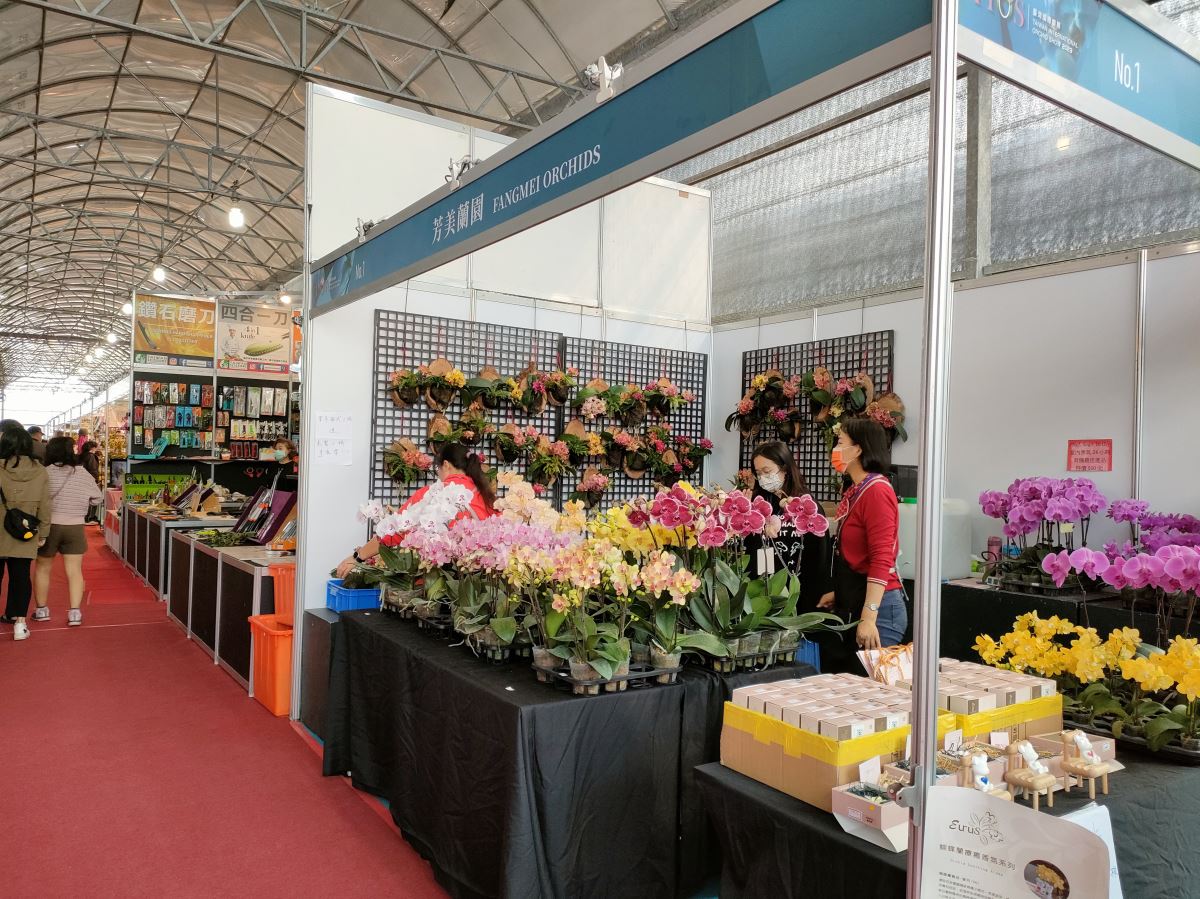 2023 台灣國際蘭展 Taiwan international orchid show