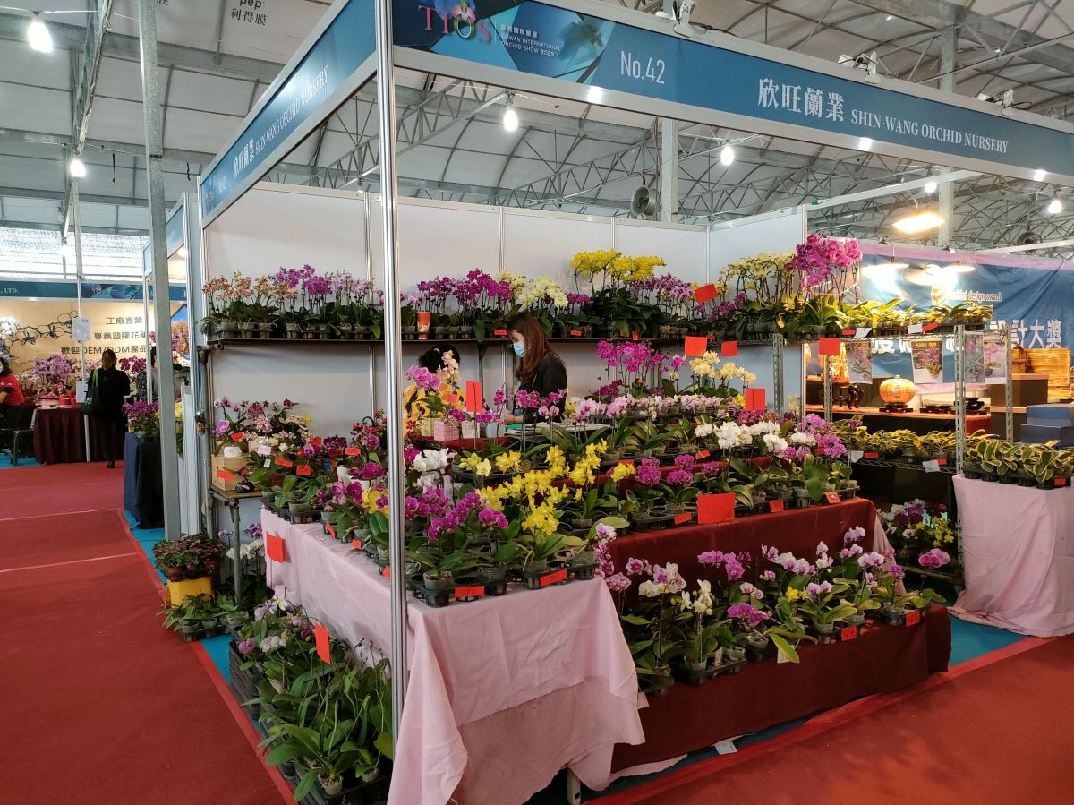 2023 台灣國際蘭展 Taiwan international orchid show