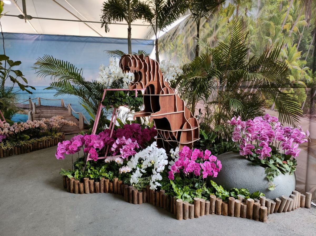 2023 台灣國際蘭展 Taiwan international orchid show