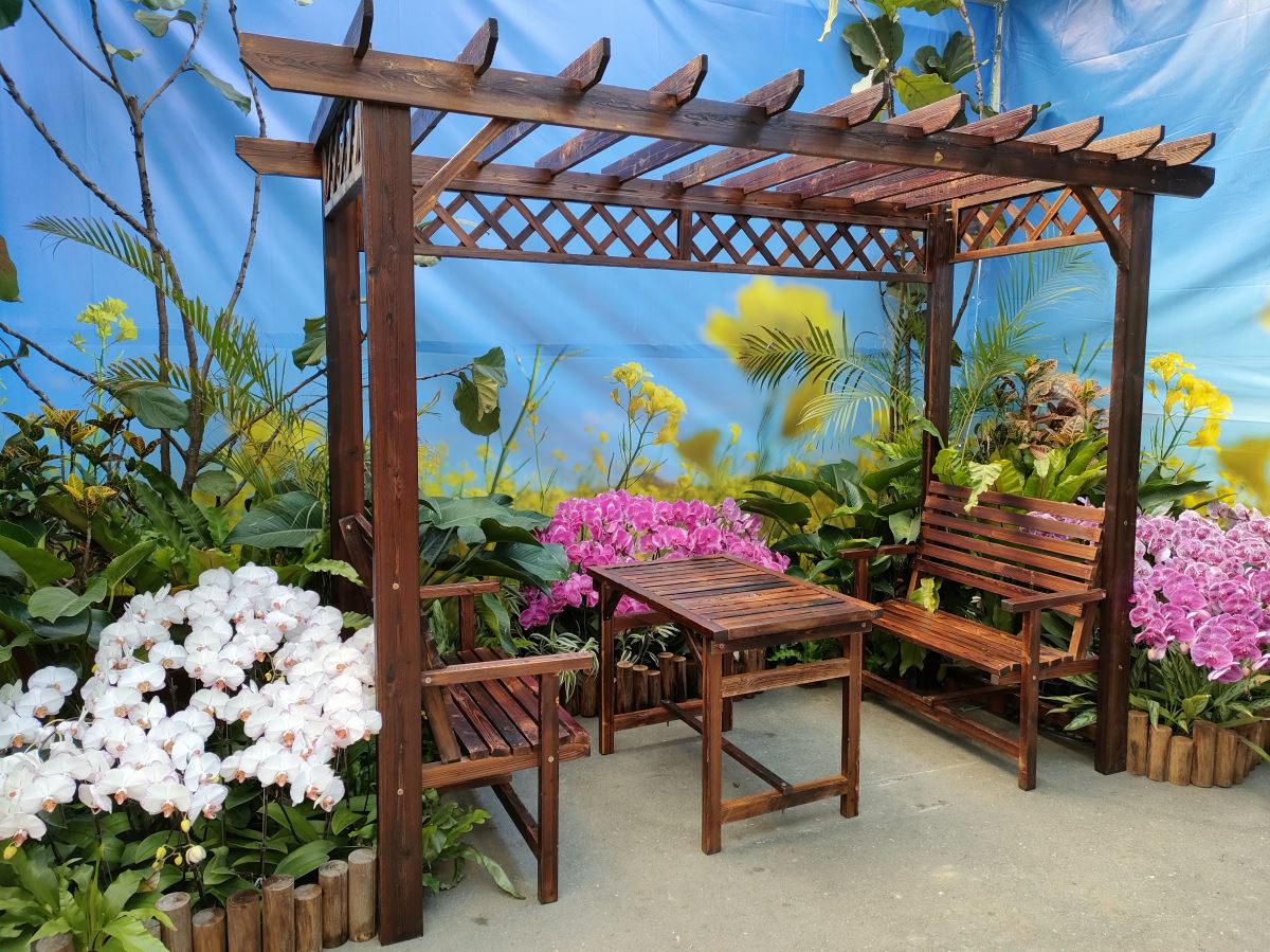 2023 台灣國際蘭展 Taiwan international orchid show