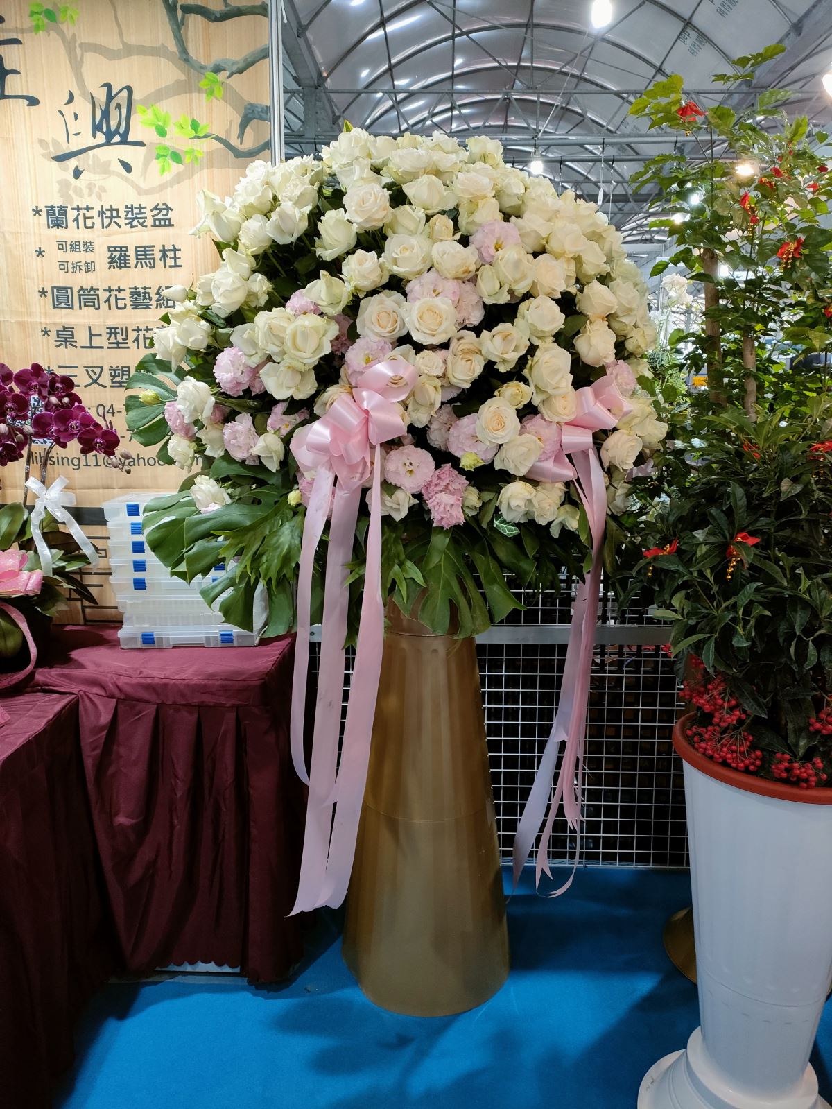 2023 台灣國際蘭展-夢幻白玫瑰花柱