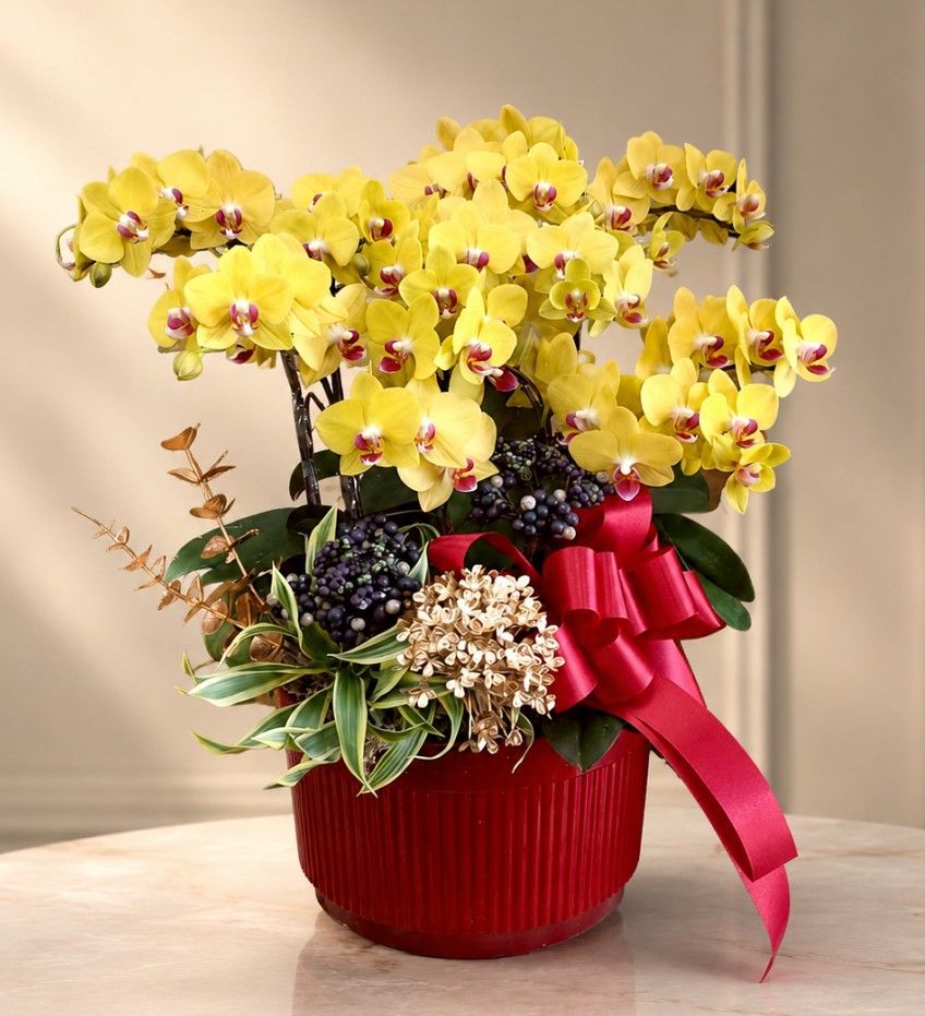Decorative orchid display using F262 quick assembly system