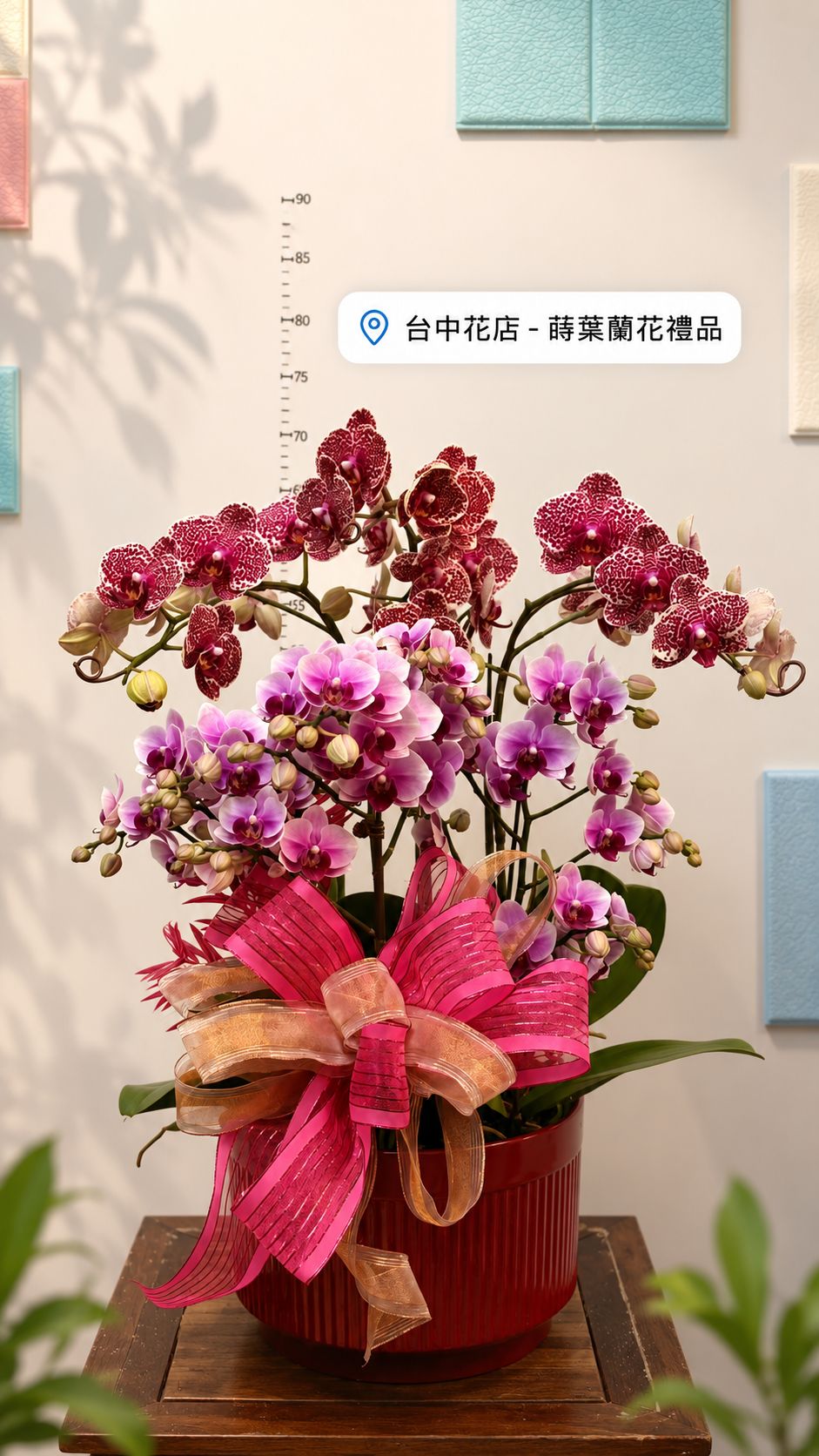 台中蒔葉蘭花禮品作品分享
