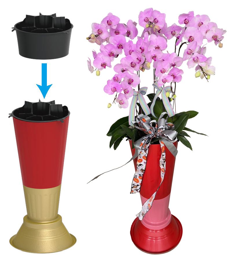 Finished Phalaenopsis arrangement created with F262