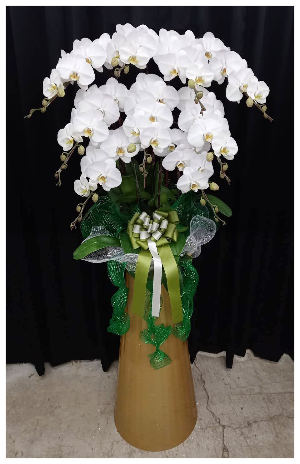 大盆蘭花-蝴蝶蘭羅馬柱-追思羅馬柱-網友作品