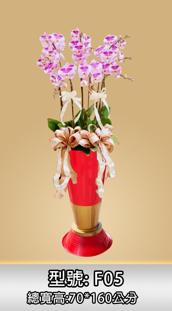 蘭花禮盆作品15-組合式羅馬柱-蝴蝶蘭羅馬柱