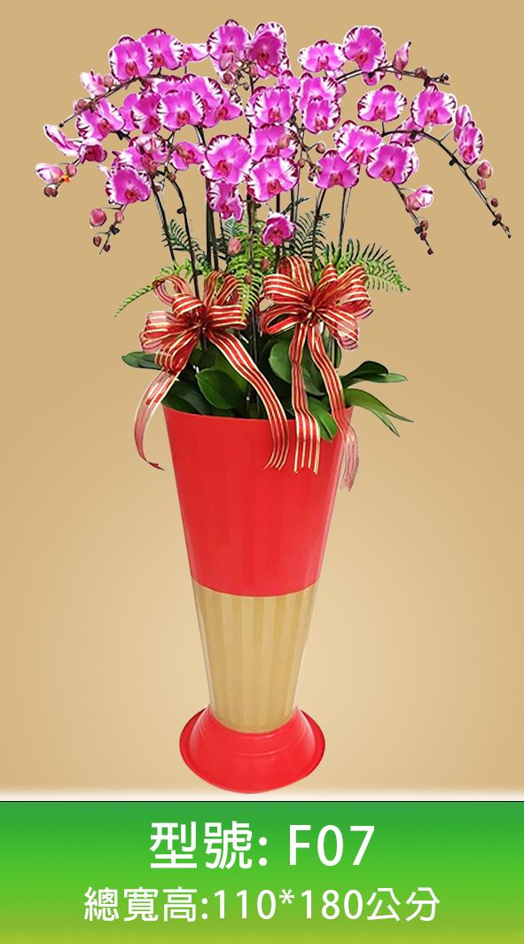 蘭花禮盆作品7-過年節慶蘭花-組合式羅馬柱-蝴蝶蘭羅馬柱