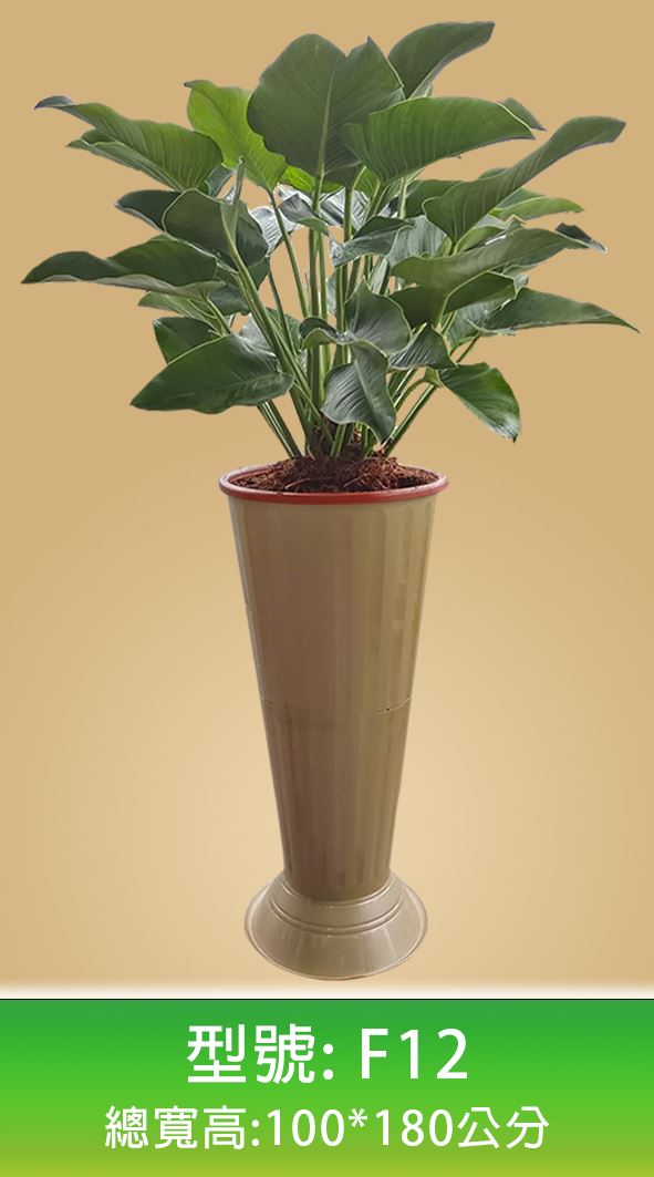 蘭花禮盆作品11-組合式羅馬柱-專業塑膠花器工廠