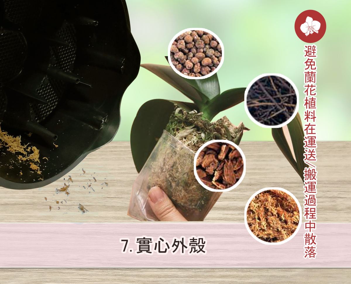 組裝架實心外殼避免蘭花植料散落-冠諺蘭花禮盆組裝架
