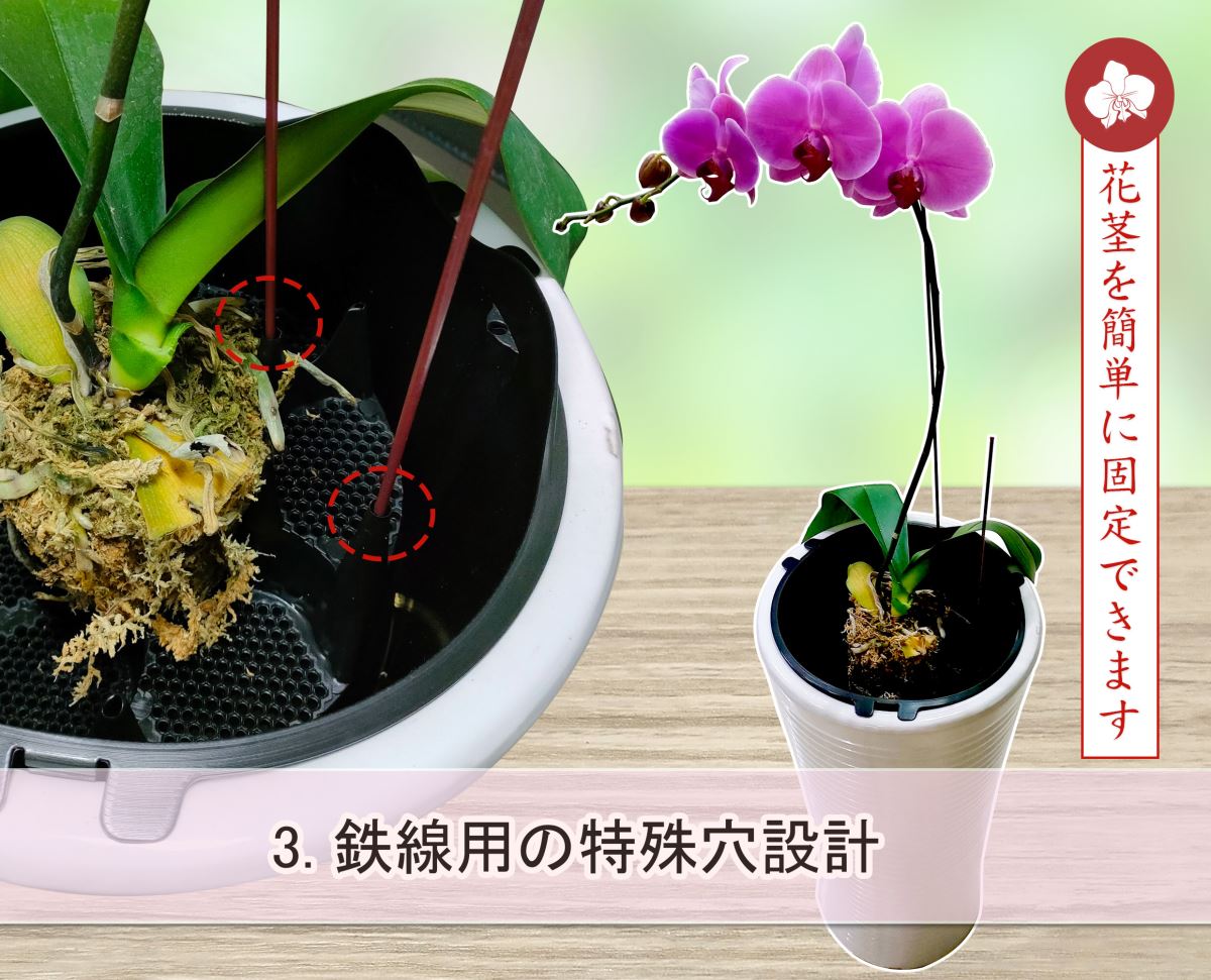 整理トレーの鉄線穴によって、花茎をまっすぐ固定します