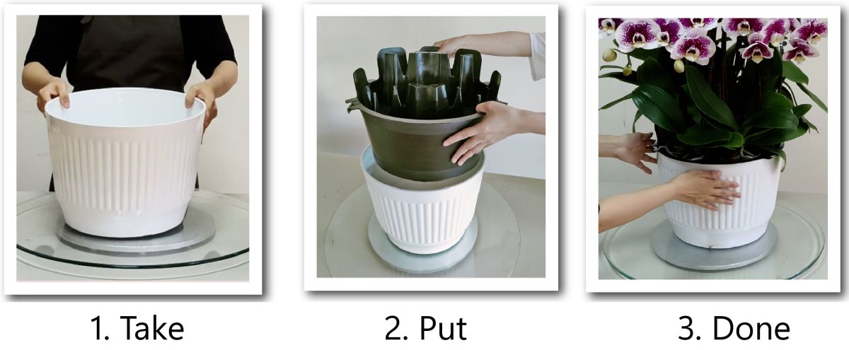 Three-step quick-assembly process for Phalaenopsis orchid arrangements